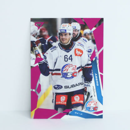 007 - ZSC - PONTUS ABERG - BASE PINK