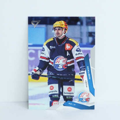 017 - ZSC - DENIS MALGIN - BASE SET