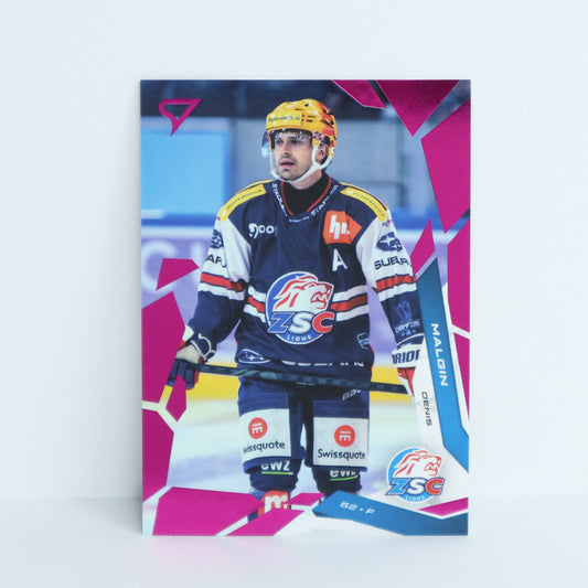 017 - ZSC - DENIS MALGIN - BASE PINK