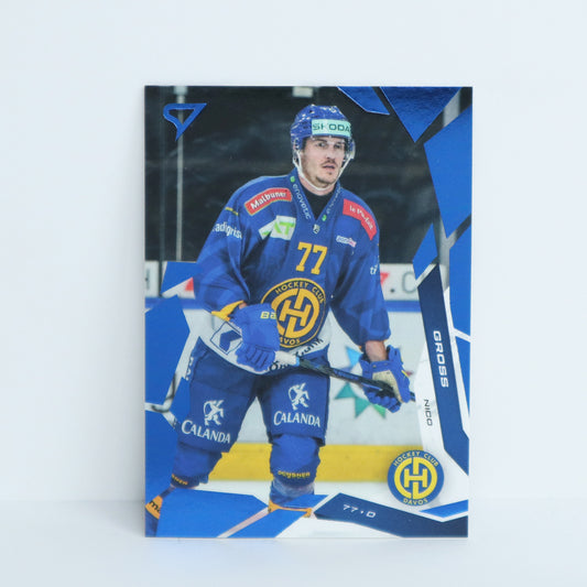 042 - HCD - NICO GROSS - BASE BLUE