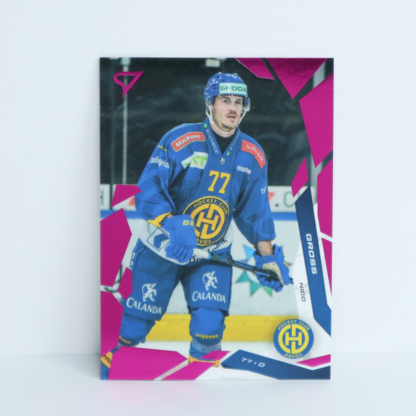 042 - HCD - NICO GROSS - BASE PINK