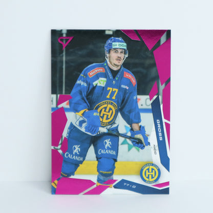 042 - HCD - NICO GROSS - BASE PINK