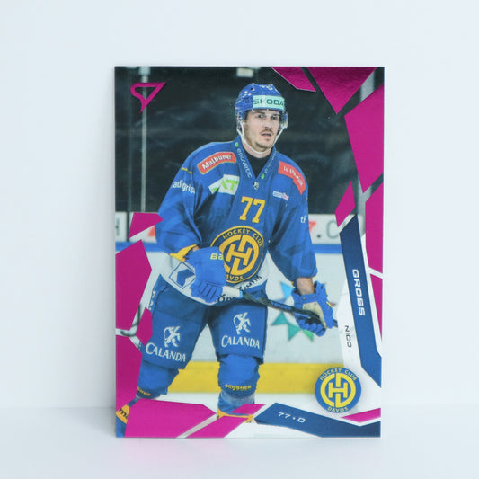 042 - HCD - NICO GROSS - BASE PINK