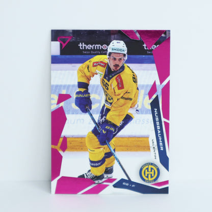 050 - HCD - VALENTIN NUSSBAUMER - BASE PINK
