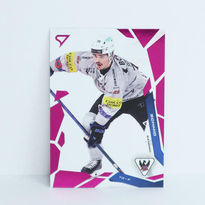 068 - FRI - SANDRO SCHMID - BASE PINK