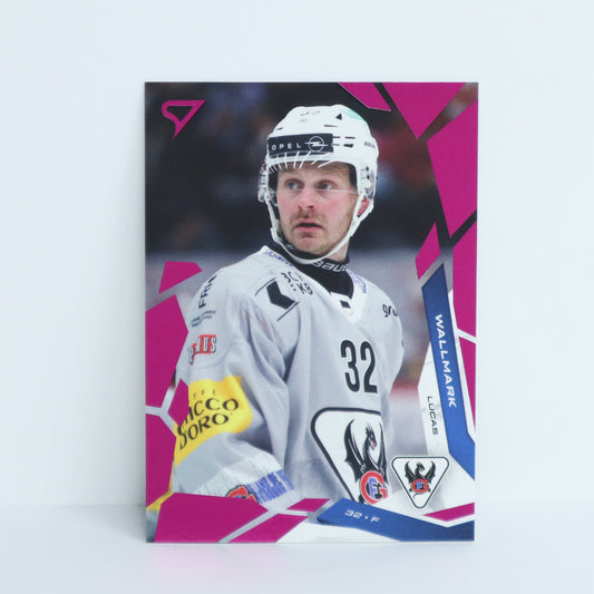 071 - FRI - LUCAS WALLMARK - BASE PINK