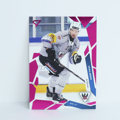 072 - FRI - SAMUEL WALSER - BASE PINK