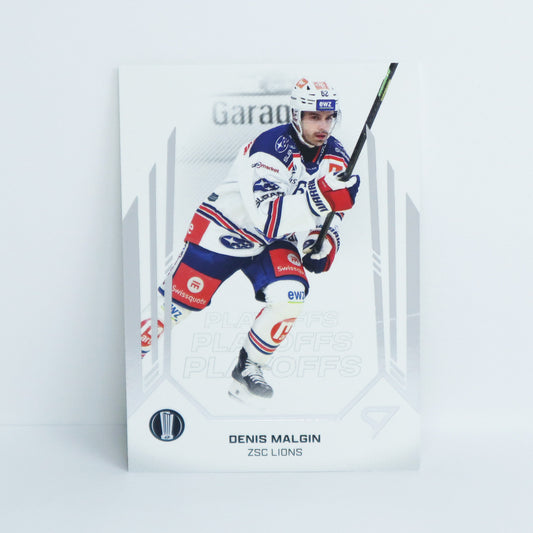 08 - ZSC - DENIS MALGIN - BASE SET