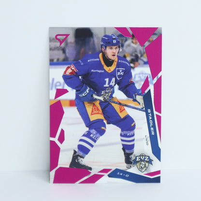 097 - EVZ - LIVIO STADLER - BASE PINK