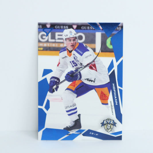 099 - EVZ - GREGORY HOFMANN - BASE BLUE