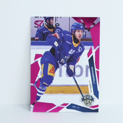 108 - EVZ - ANDREAS WINGERLI - BASE PINK