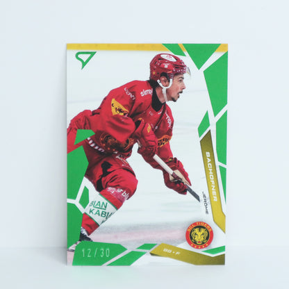 134 - SCL - JEROME BACHOFNER - BASE GREEN - 12/30