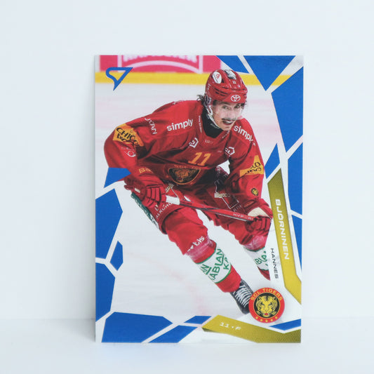 135 - SCL - HANNES BJORNINEN - BASE BLUE