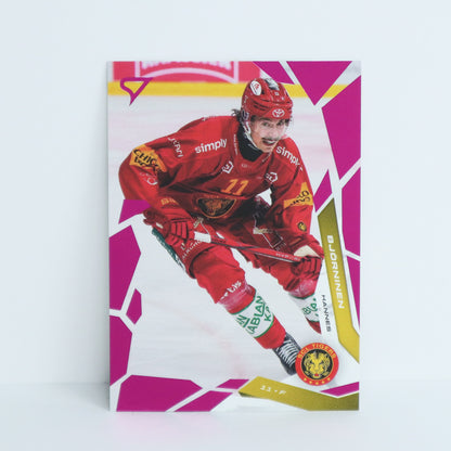 135 - SCL - HANNES BJORNINEN - BASE PINK