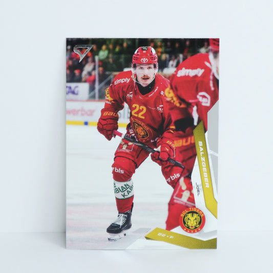 143 - SCL - JOEL SALZGEBER - BASE SET