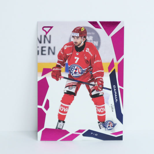 164 - SCRJ - LUCA CAPAUL - BASE PINK