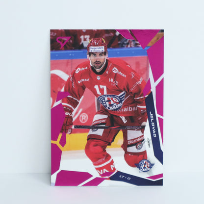 167 - SCRJ - IGOR JELOVAC - BASE PINK