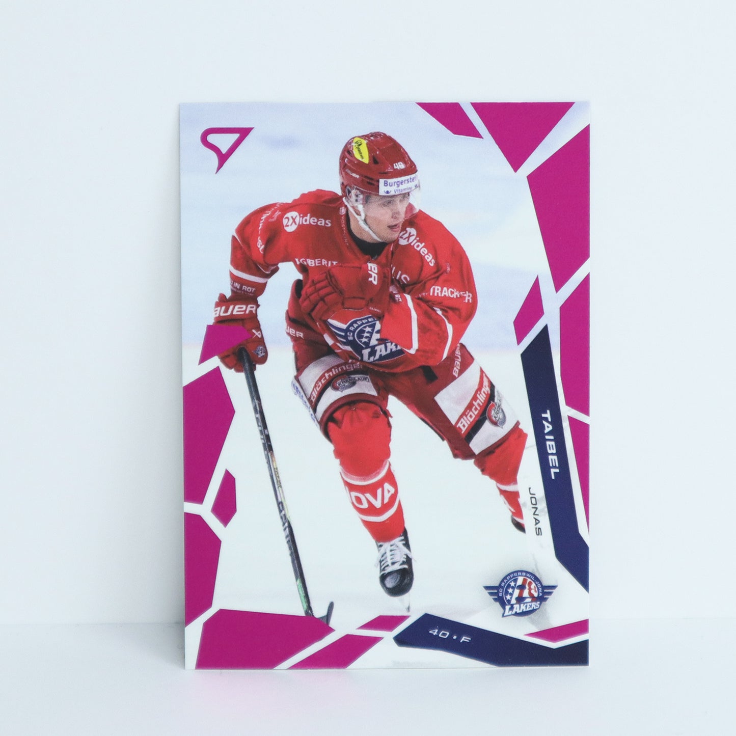 179 - SCRJ - JONAS TAIBEL - BASE PINK