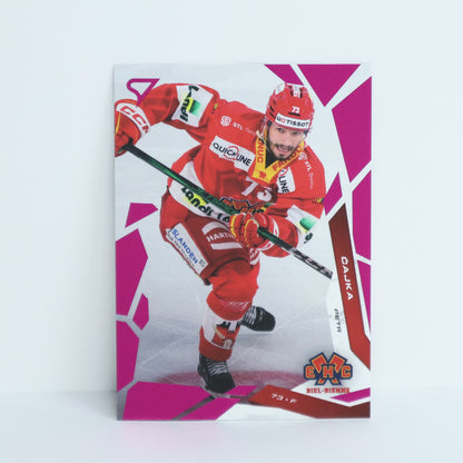 190 - EHCB - PETR CAJKA - BASE PINK