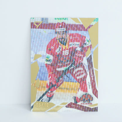 192 - EHCB - FABIO HOFER - BASE GOLD - 05/10