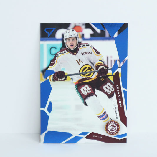 202 - GSHC - GIANCARLO CHANTON - BASE BLUE