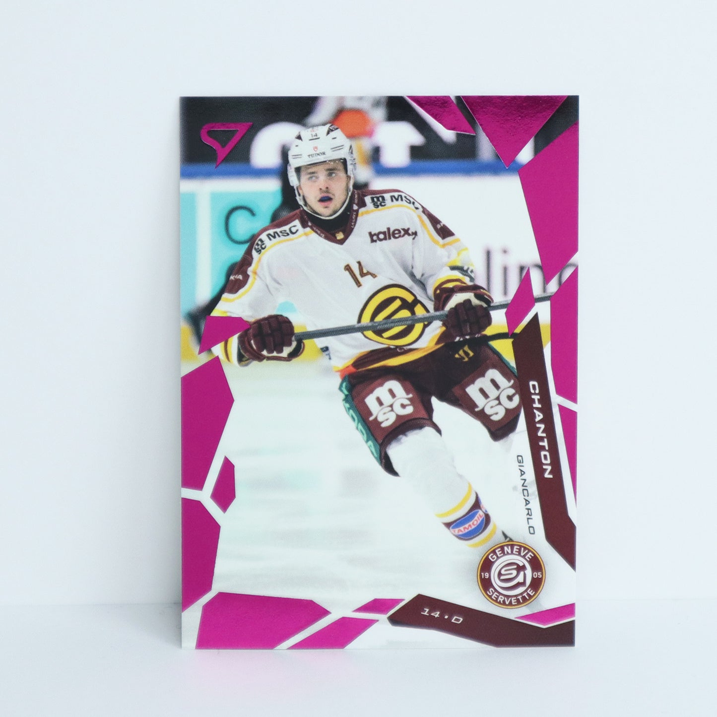 202 - GSHC - GIANCARLO CHANTON - BASE PINK