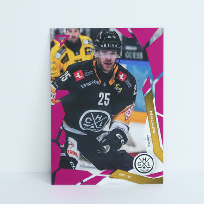 222 - HCL - MIRCO MULLER - BASE PINK