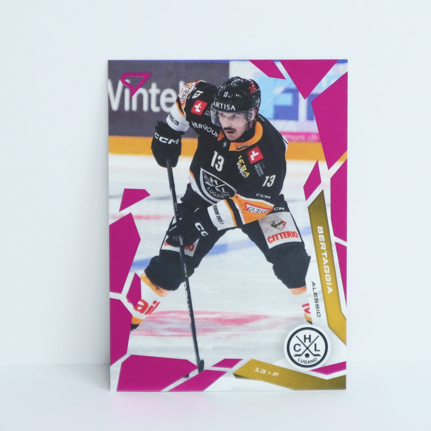 225 - HCL - ALESSIO BERTAGGIA - BASE PINK