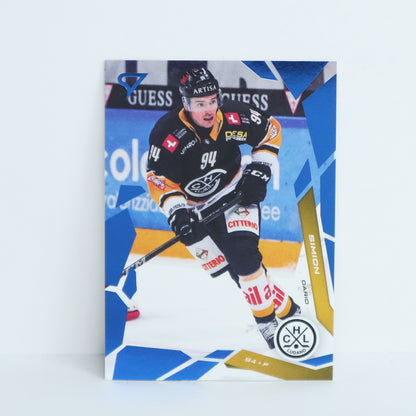 233 - HCL - DARIO SIMION - BASE BLUE
