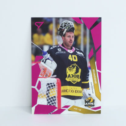 235 - HCA - DAMIANO CIACCIO - BASE PINK