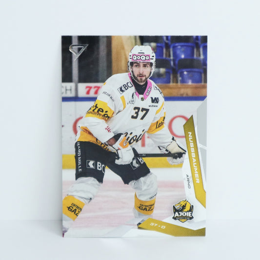 240 - HCA - ARNO NUSSBAUMER - BASE SET