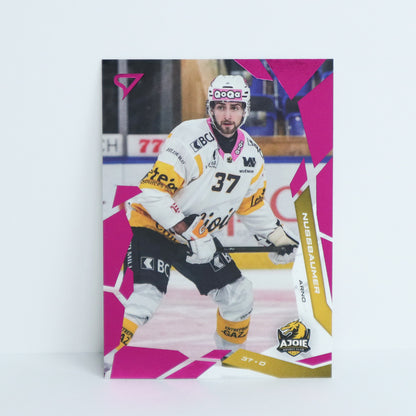 240 - HCA - ARNO NUSSBAUMER - BASE PINK