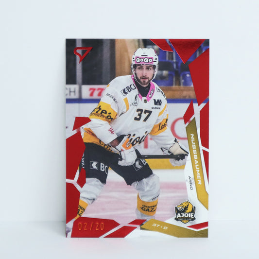 240 - HCA - ARNO NUSSBAUMER - BASE RED - 02/20