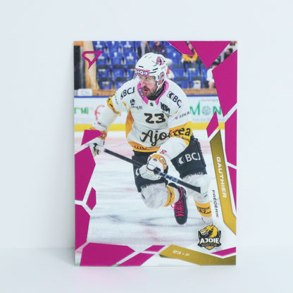 245 - HCA - FREDERIK GAUTHIER - BASE PINK