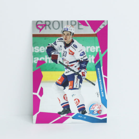 255 - ZSC - JAN SCHWENDELER - BASE PINK