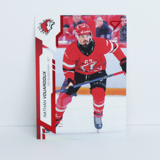 260 - LHC - N. VOUARDOUX - BASE RED - 17/20