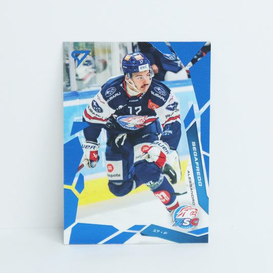 261 - ZSC - ALESSANDRO SEGAFREDO - BASE BLUE