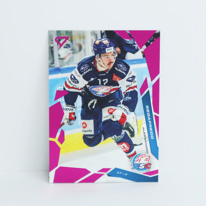 261 - ZSC - ALESSANDRO SEGAFREDO - BASE PINK