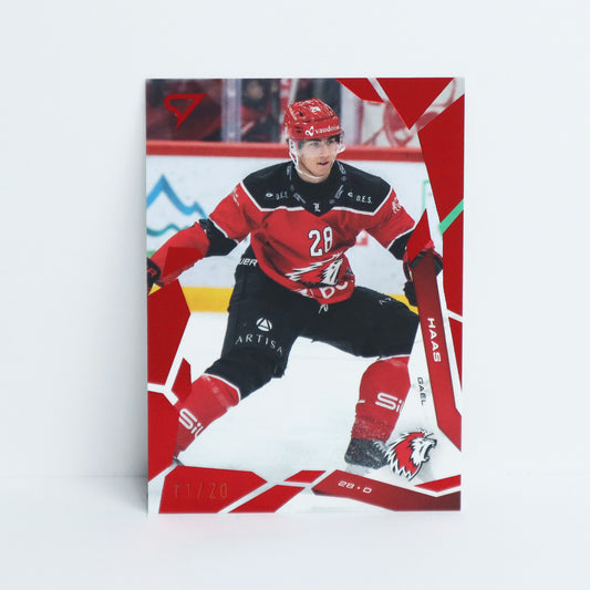 263 - LHC - GAEL HAAS - BASE RED - 11/20