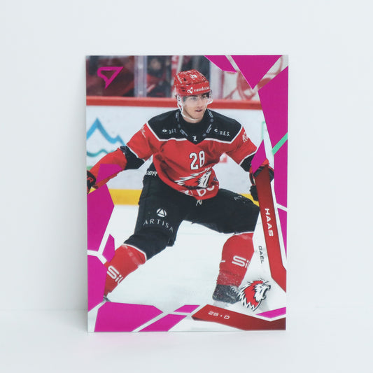 263 - LHC - GAEL HAAS - BASE PINK