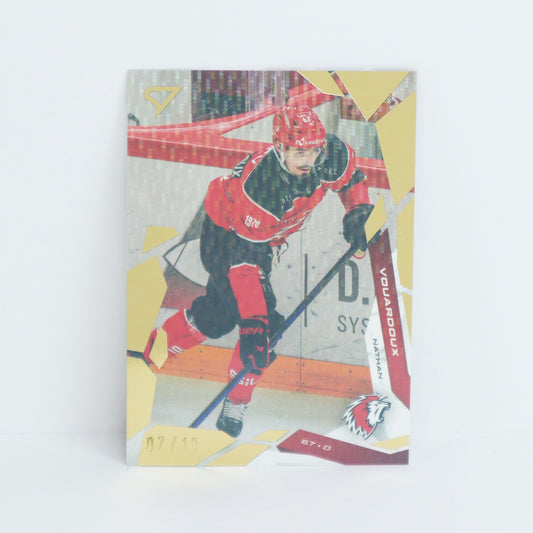 264 - LHC - NATHAN VOUARDOUX - BASE GOLD - 07/10