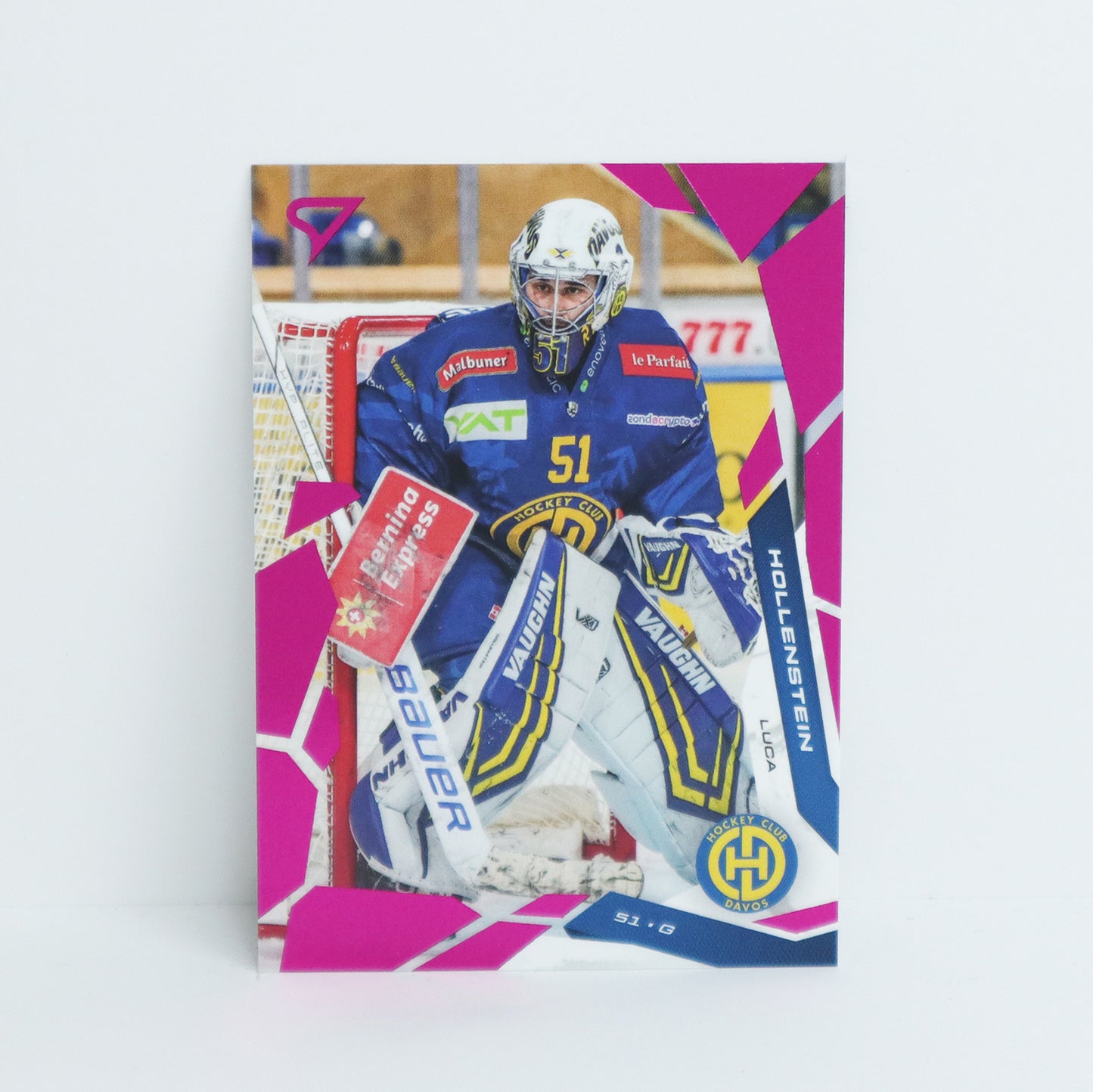 269 - HCD - LUCA HOLLENSTEIN - BASE PINK
