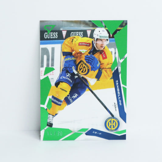 275 - HCD - ADAM TAMBELLINI - BASE GREEN - 14/30