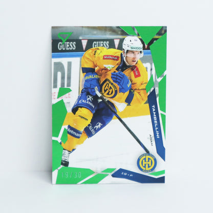 275 - HCD - ADAM TAMBELLINI - BASE GREEN - 19/30