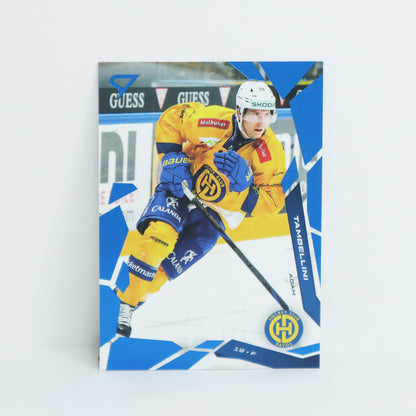 275 - HCD - ADAM TAMBELLINI - BASE BLUE