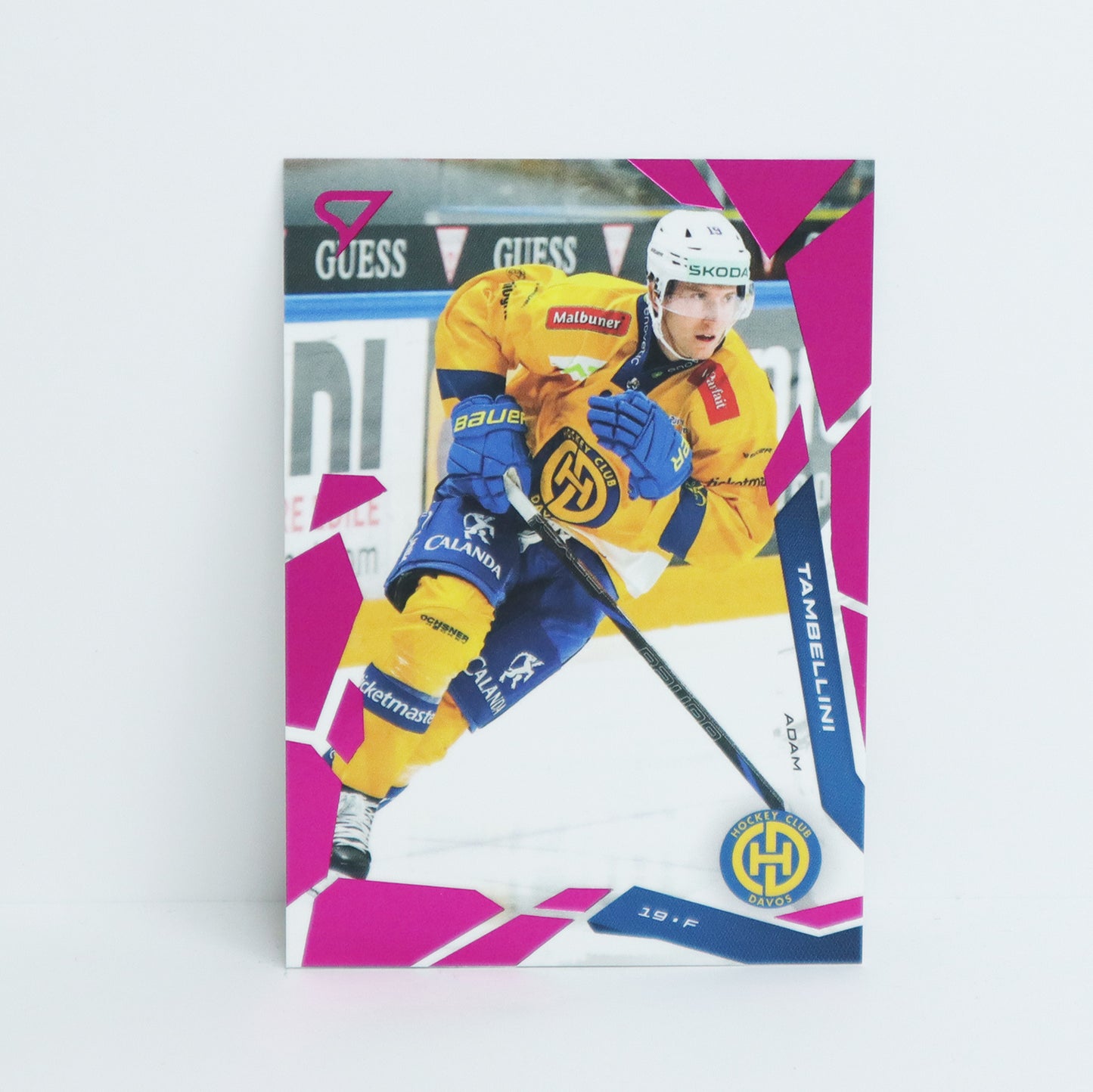 275 - HCD - ADAM TAMBELLINI - BASE PINK