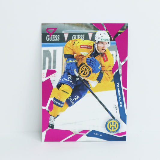 275 - HCD - ADAM TAMBELLINI - BASE PINK
