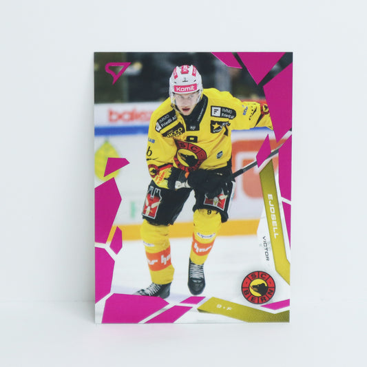 288 - SCB - VICTOR EJDSSELL - BASE PINK