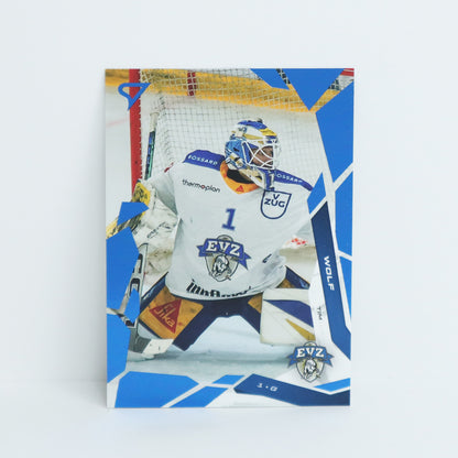 291 - EVZ - TIM WOLF - BASE BLUE