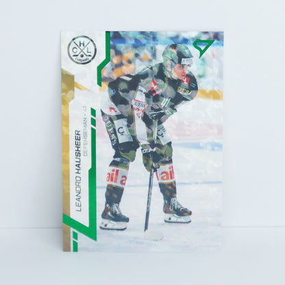 295 - HCL - L. HAUSHEER - BASE GREEN